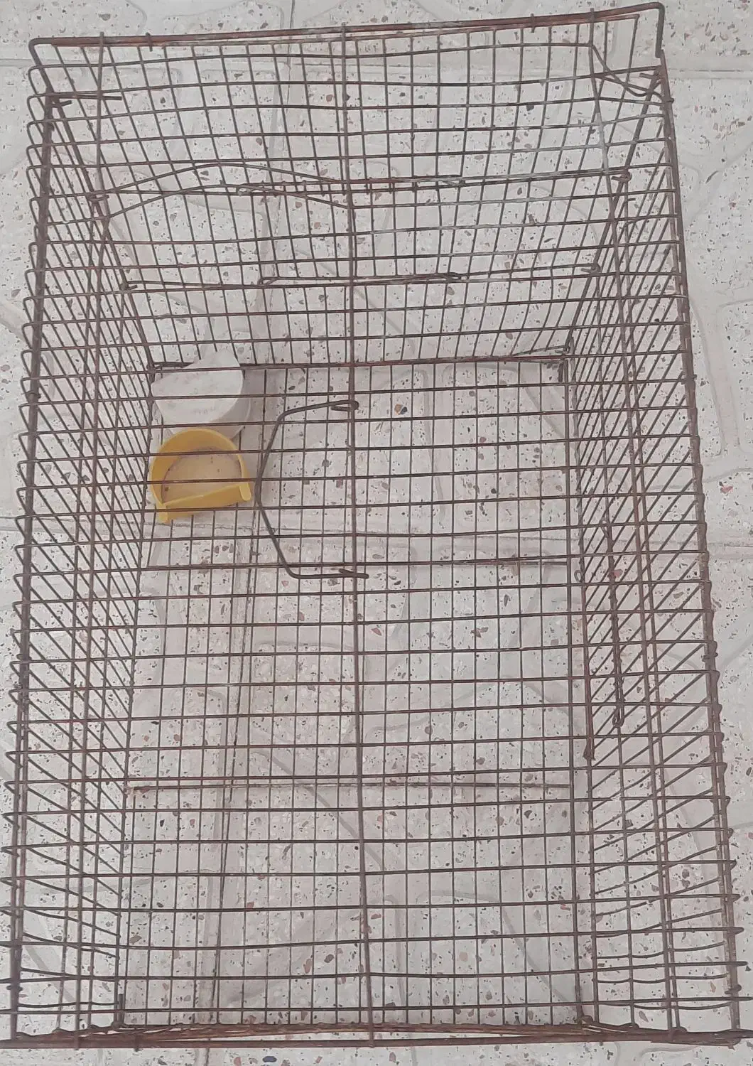 قفس قناری|لوازم جانبی حیوانات|شیراز, هفت تنان|دیوار