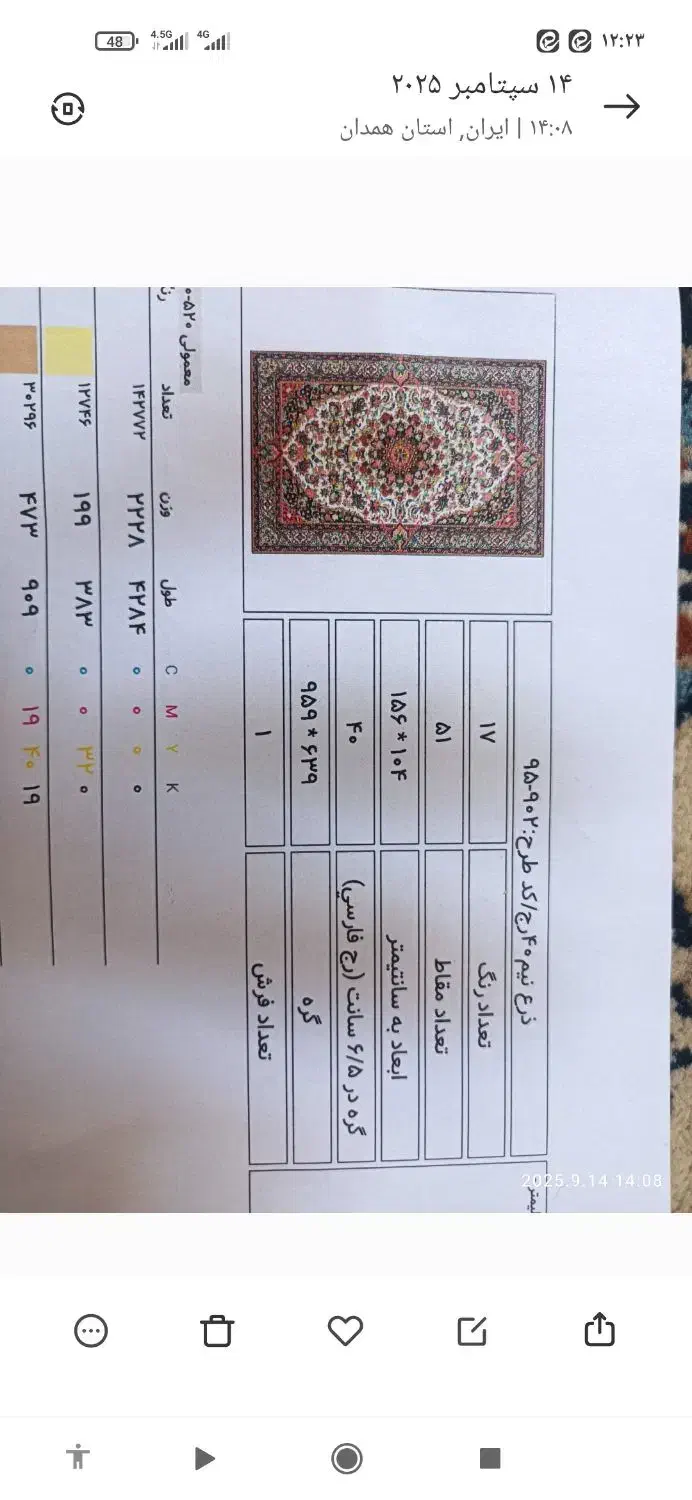 دار قالی|فرش|همدان, |دیوار