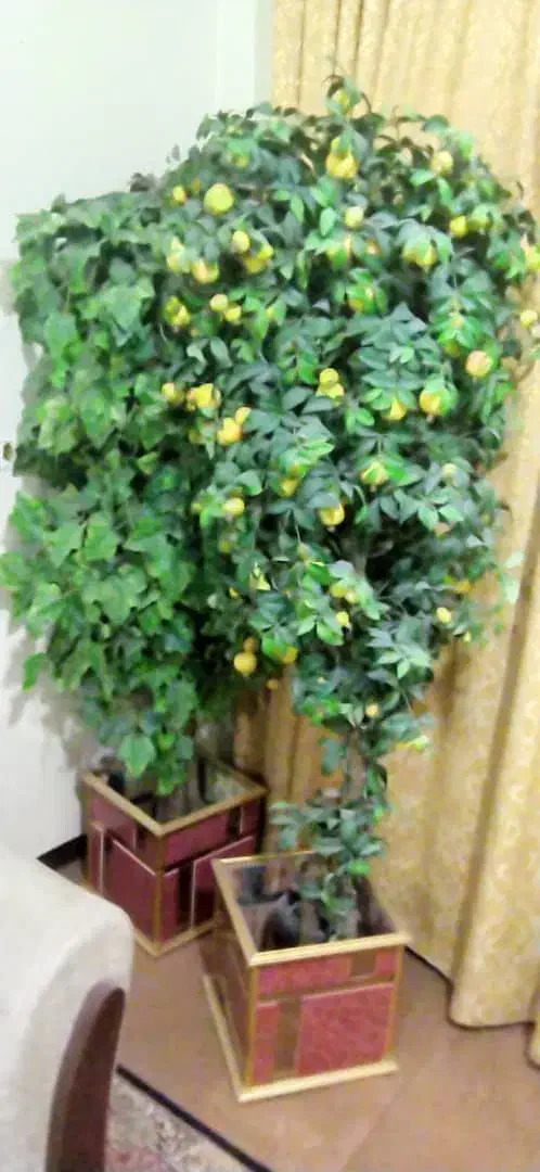 درختچه|گل مصنوعی|اهواز, کیان اباد|دیوار