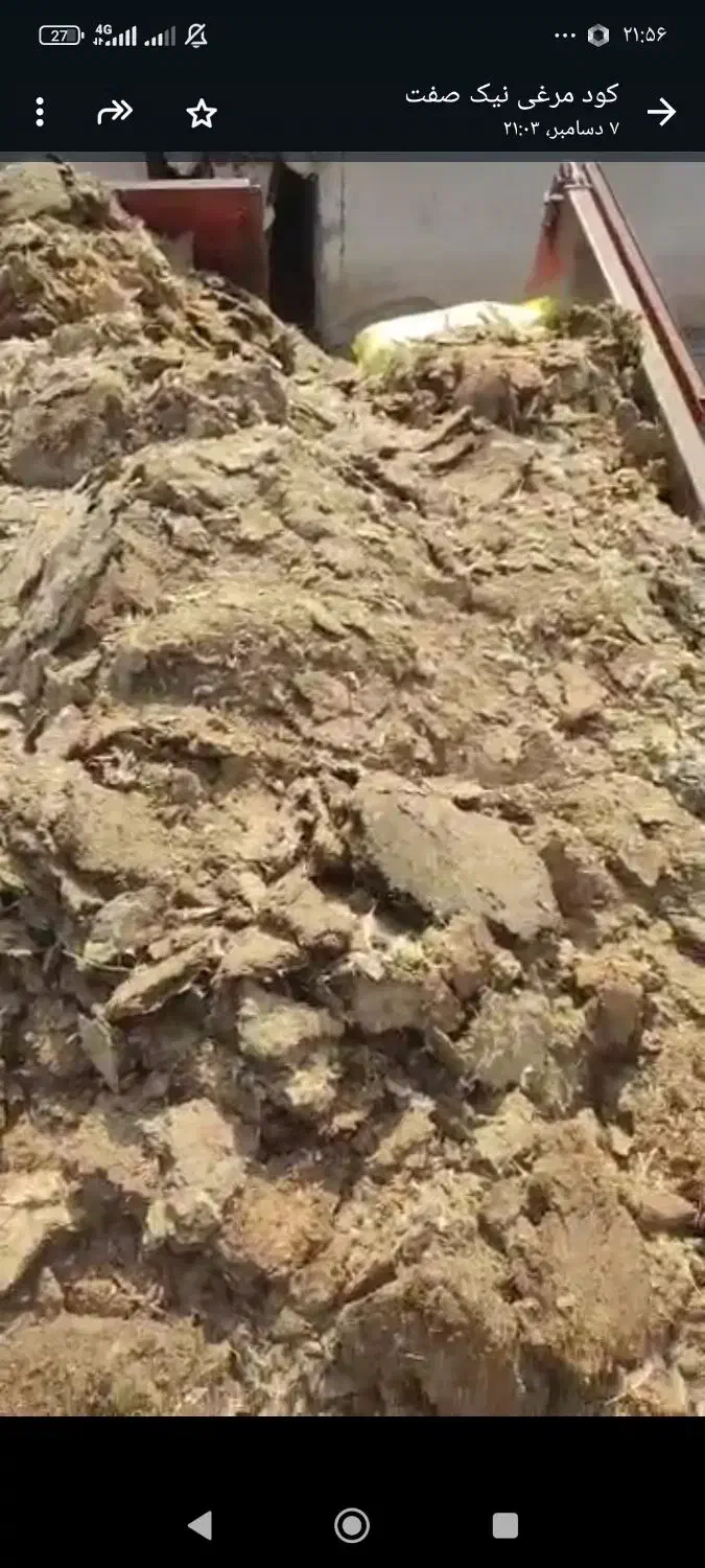 کود مرغی گوشتی|خدمات باغبانی و درختکاری|بختگان, |دیوار