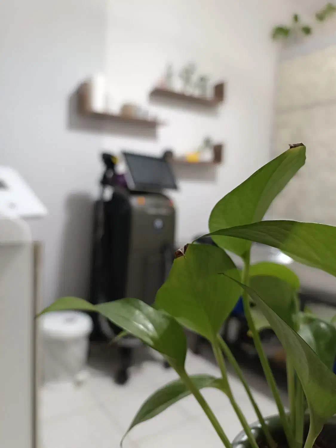 لیزر موهای زاعد|خدمات آرایشگری و زیبایی|هشتگرد, شهرک ولیعصر (مصلی)|دیوار