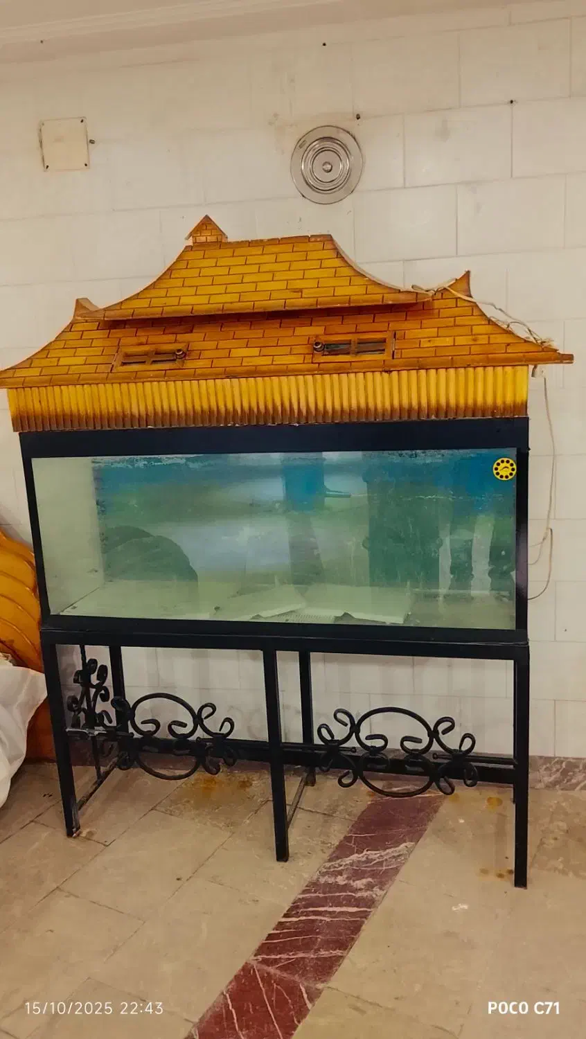 اکواریوم با شیشه 8|کلکسیون و سرگرمی|کازرون, |دیوار