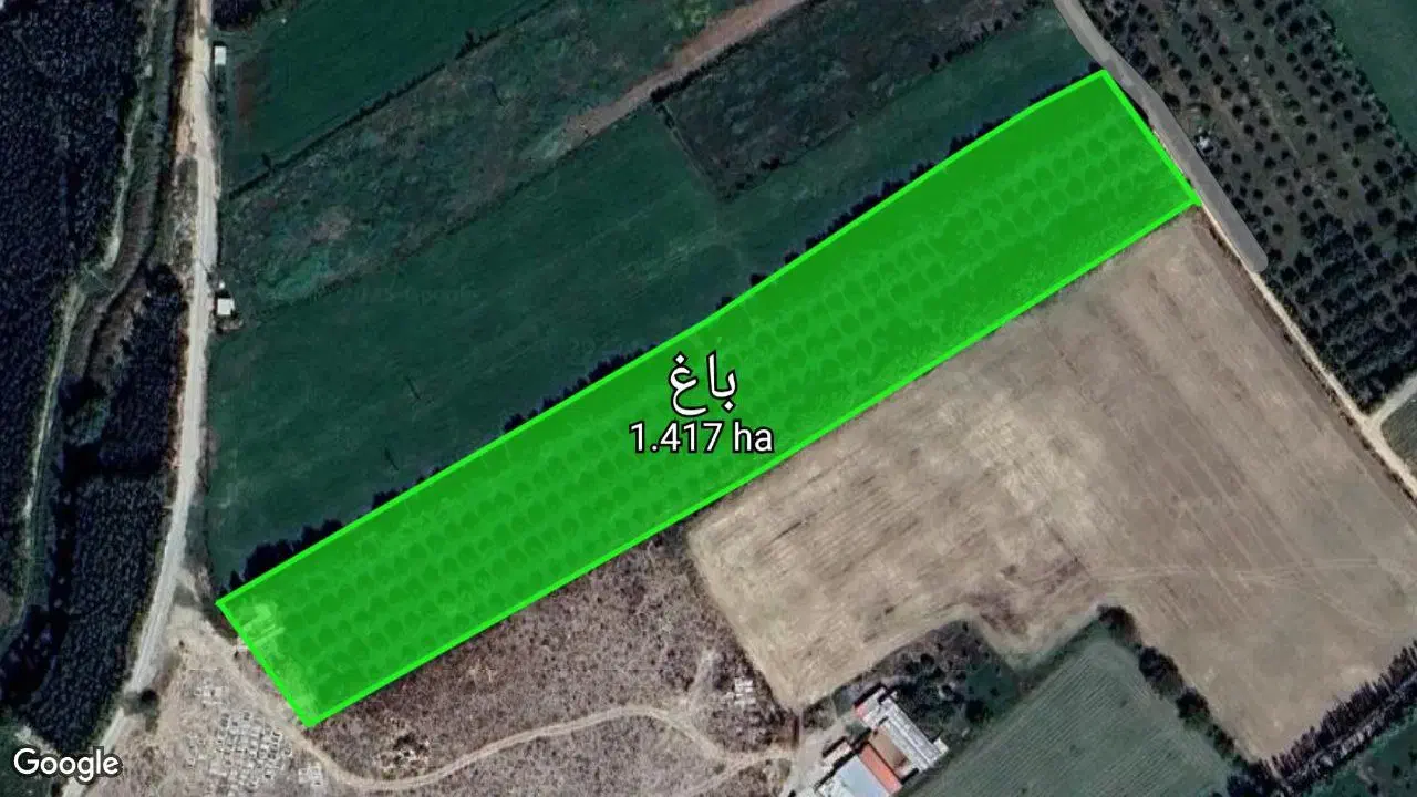 فروش باغ ۲۲ساله به متراژ تقریبا۶۰۰۰ هزارمتر|فروش زمین و ملک کلنگی|شاهین دژ, |دیوار