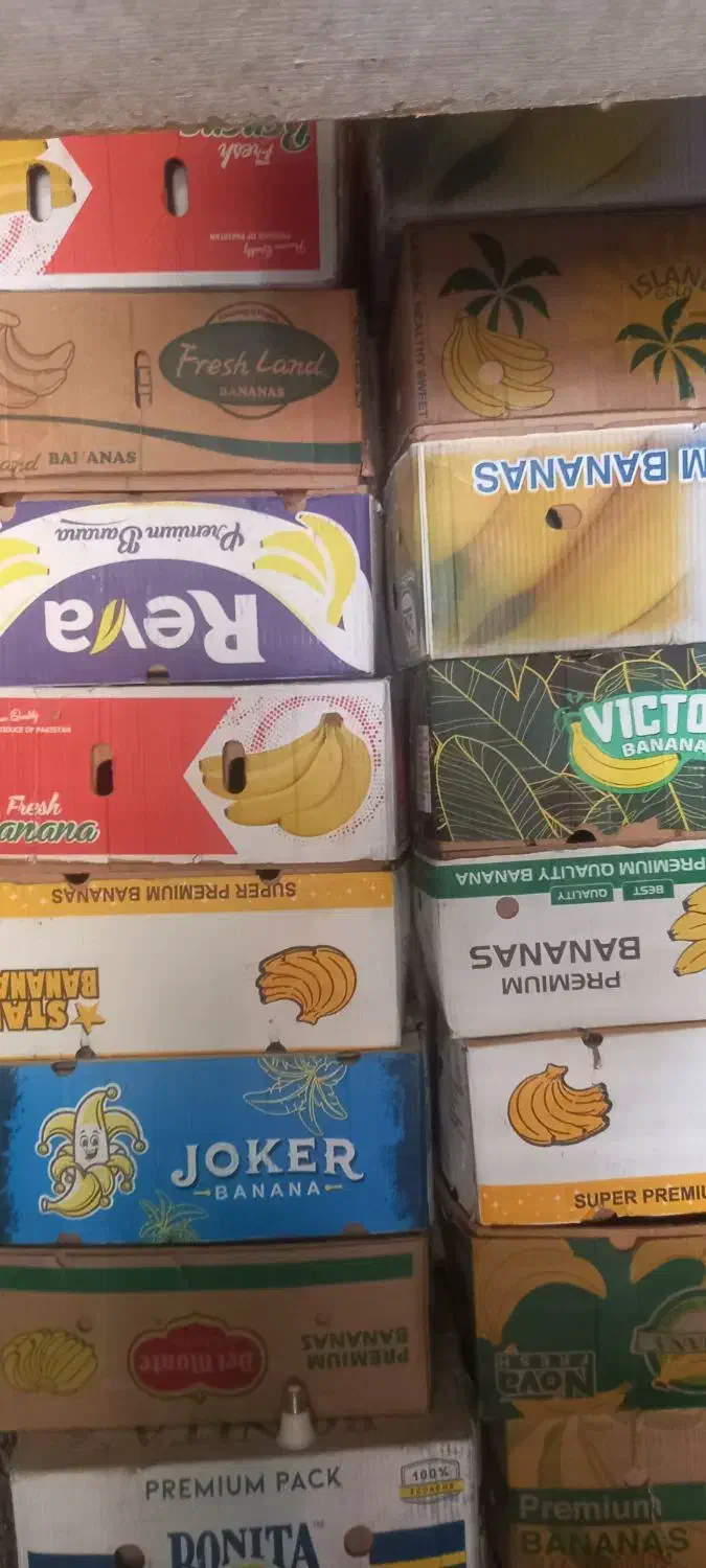 کارتون موز|عمده‌فروشی|شاهدشهر, |دیوار