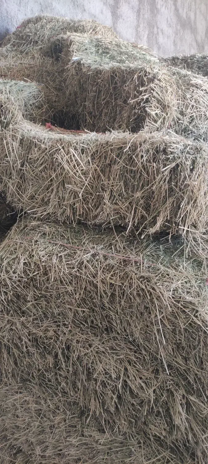 یونجه|حیوانات مزرعه|چگنی, |دیوار