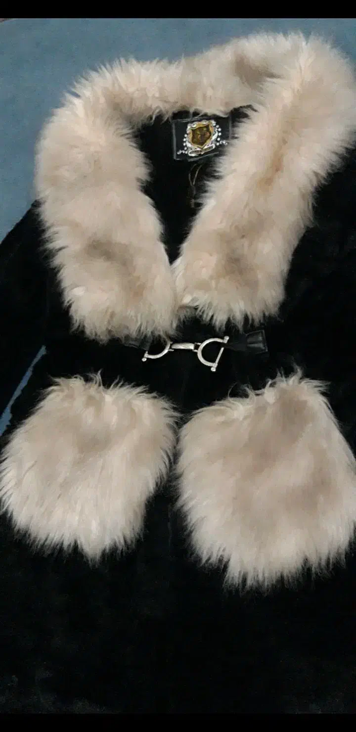 پالتو۳۶ ۳۸|لباس|رباطکریم, رباطکریم|دیوار