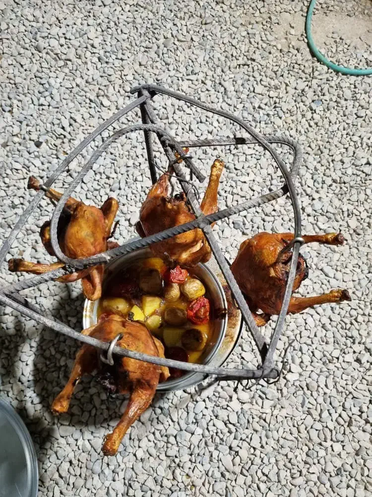 اقامتگاه بوم گردی چاهک کنار دریا|اجارهٔ کوتاهمدت ویلا و باغ|بندر گناوه, |دیوار