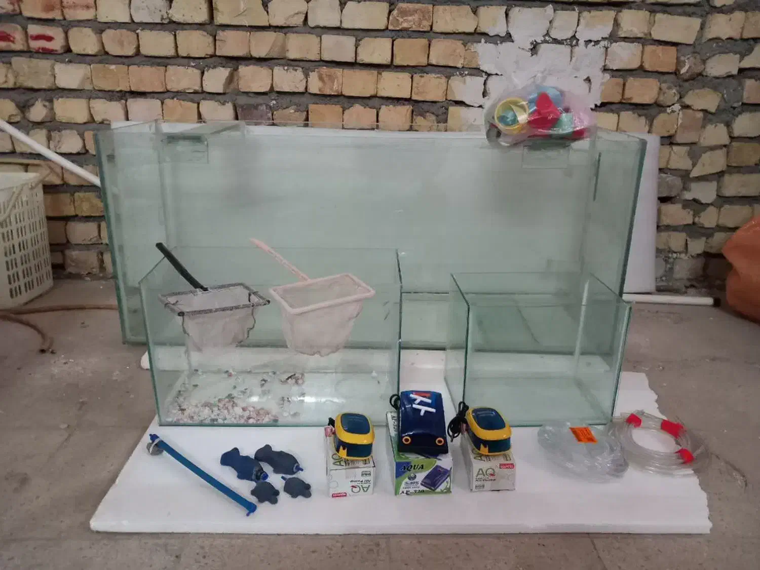 آکواریوم|ماهی|آران و بیدگل, |دیوار