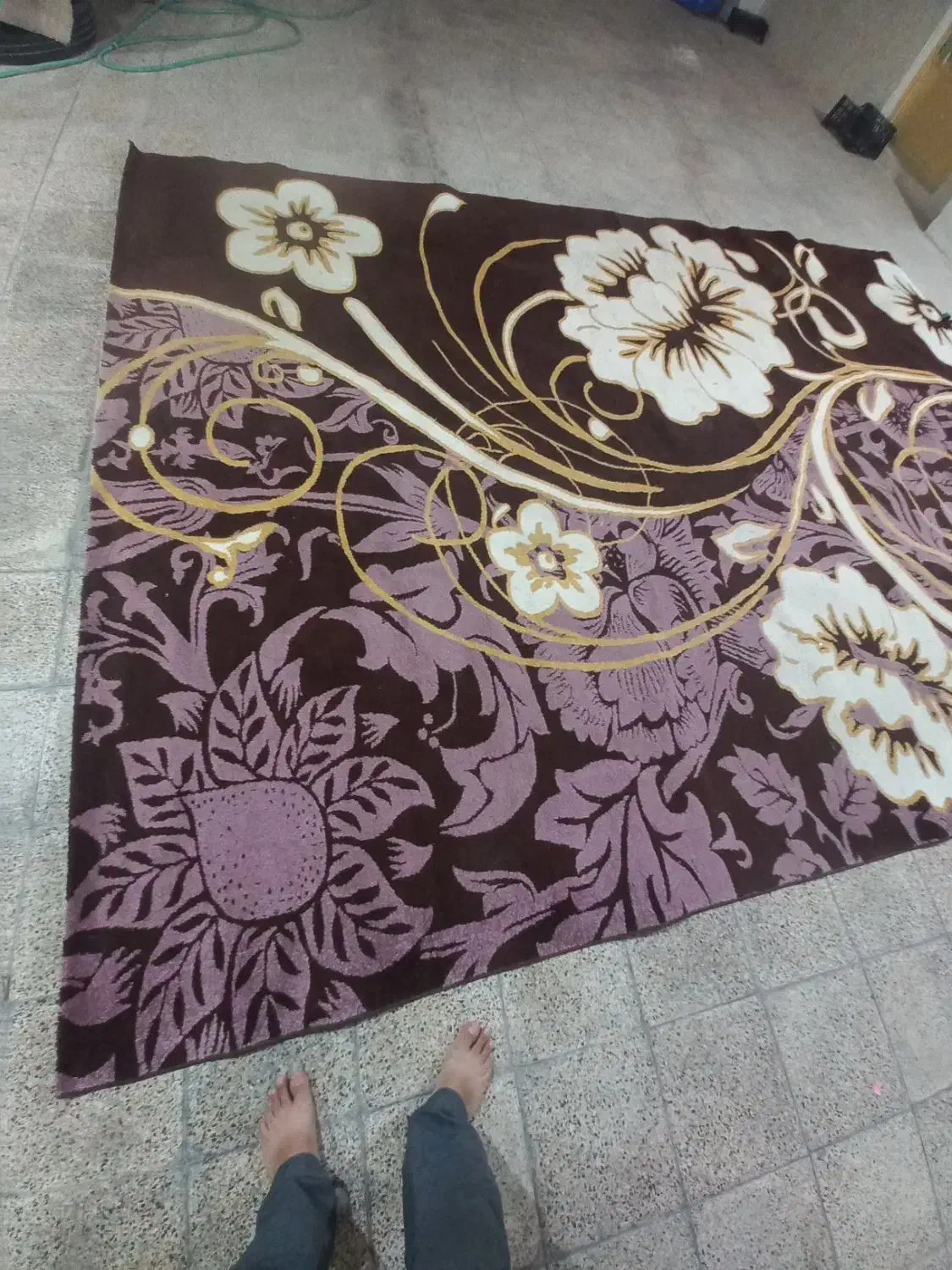 فرش تمیز|گلیم، جاجیم، گبه|خورموج, |دیوار