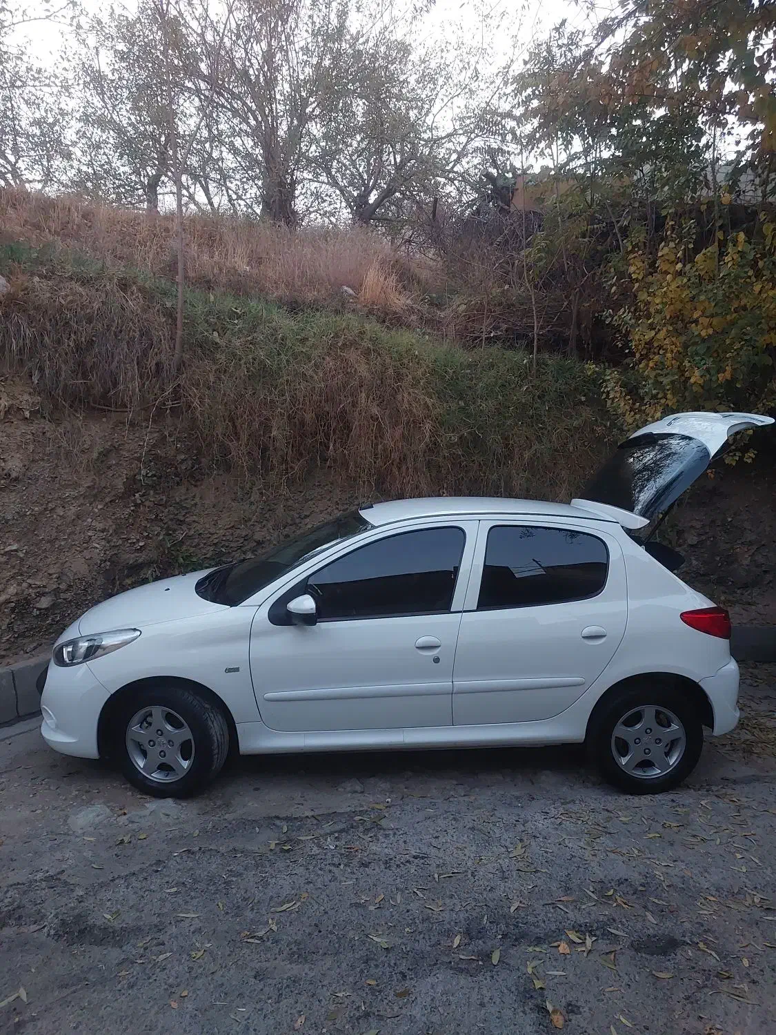 پژو ۲۰۷ اتو ارتقا یافته ۱۴۰۳|خودرو سواری و وانت|تهران, شهرک غرب|دیوار