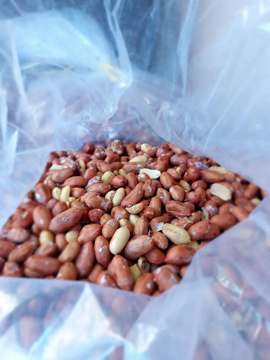 بادام زمینی برشته شده|عمده‌فروشی|مشگین شهر, |دیوار