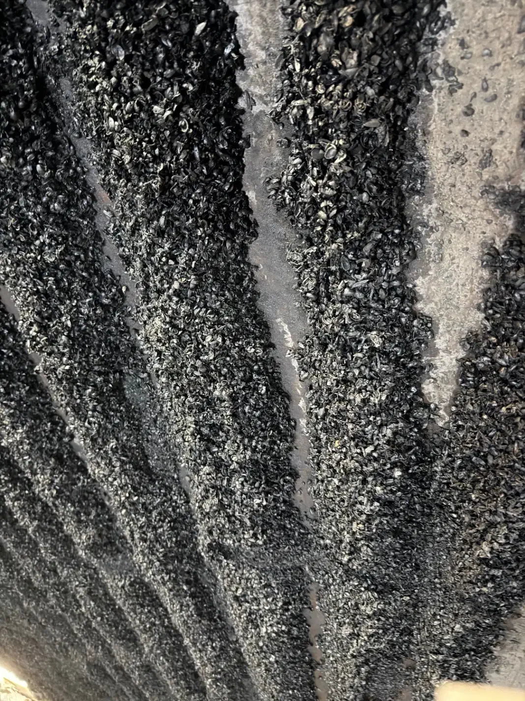 کربن پوست پسته / ذغال نارگیل (حبه و شش ضلعی)|عمده‌فروشی|اصفهان, چرخاب|دیوار