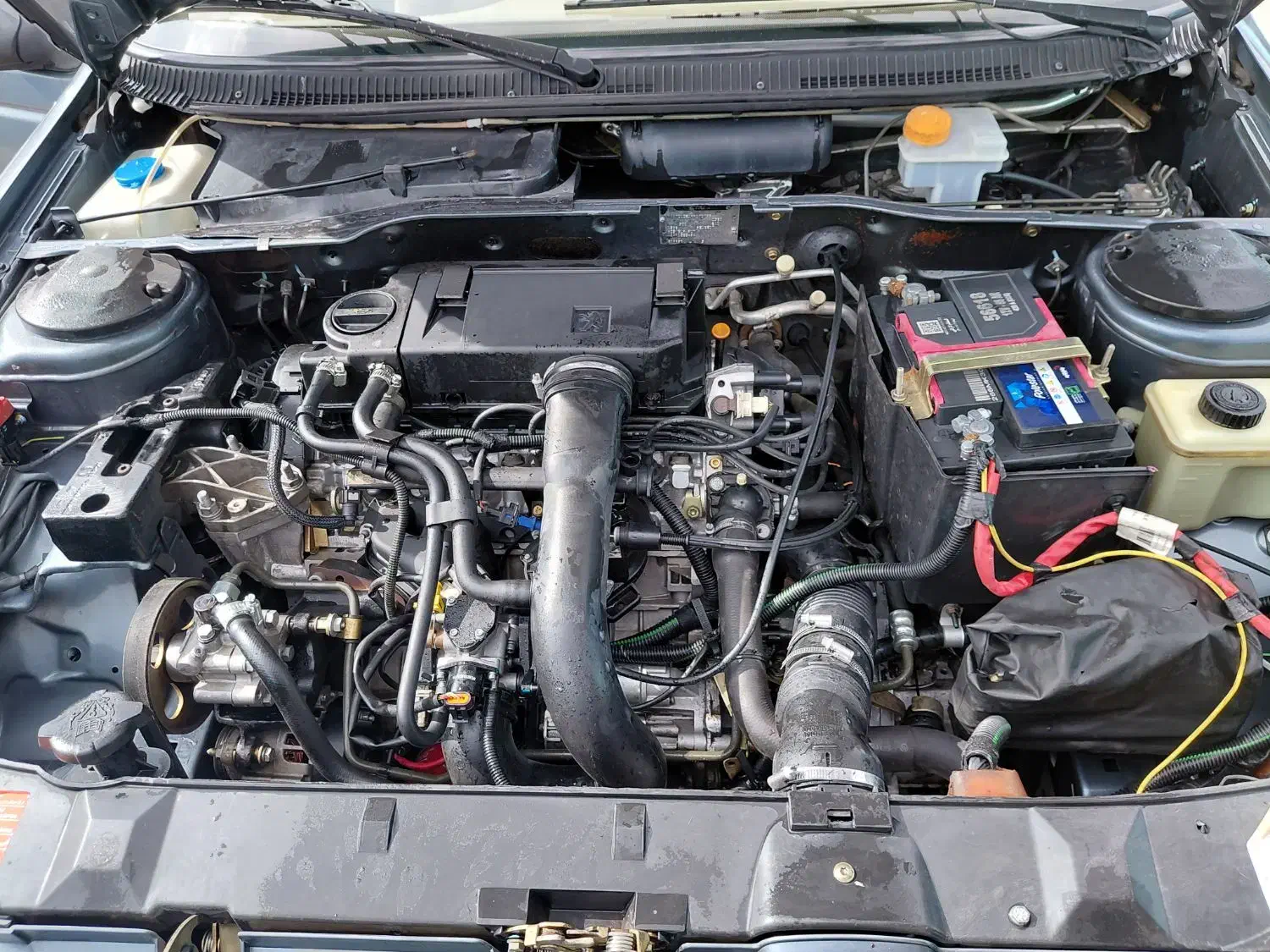 پژو  ۴۰۵  ۹۸ بکر|خودرو سواری و وانت|سیرجان, |دیوار