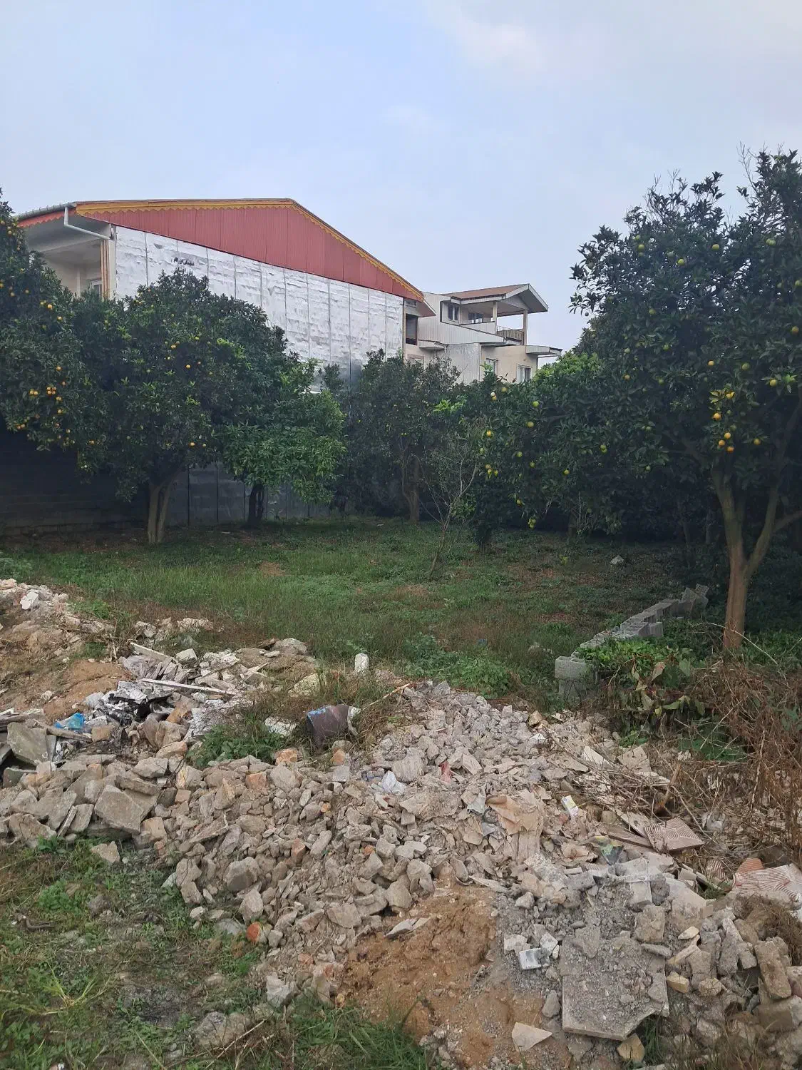 فروش زمین|فروش زمین و ملک کلنگی|کومله, |دیوار