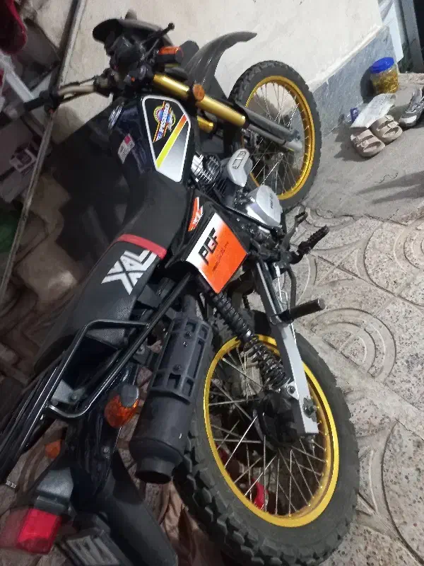 موتورسیکلت تریل ۲۰۰ سی سی پیشرو|موتورسیکلت|کرج, اسدآباد|دیوار