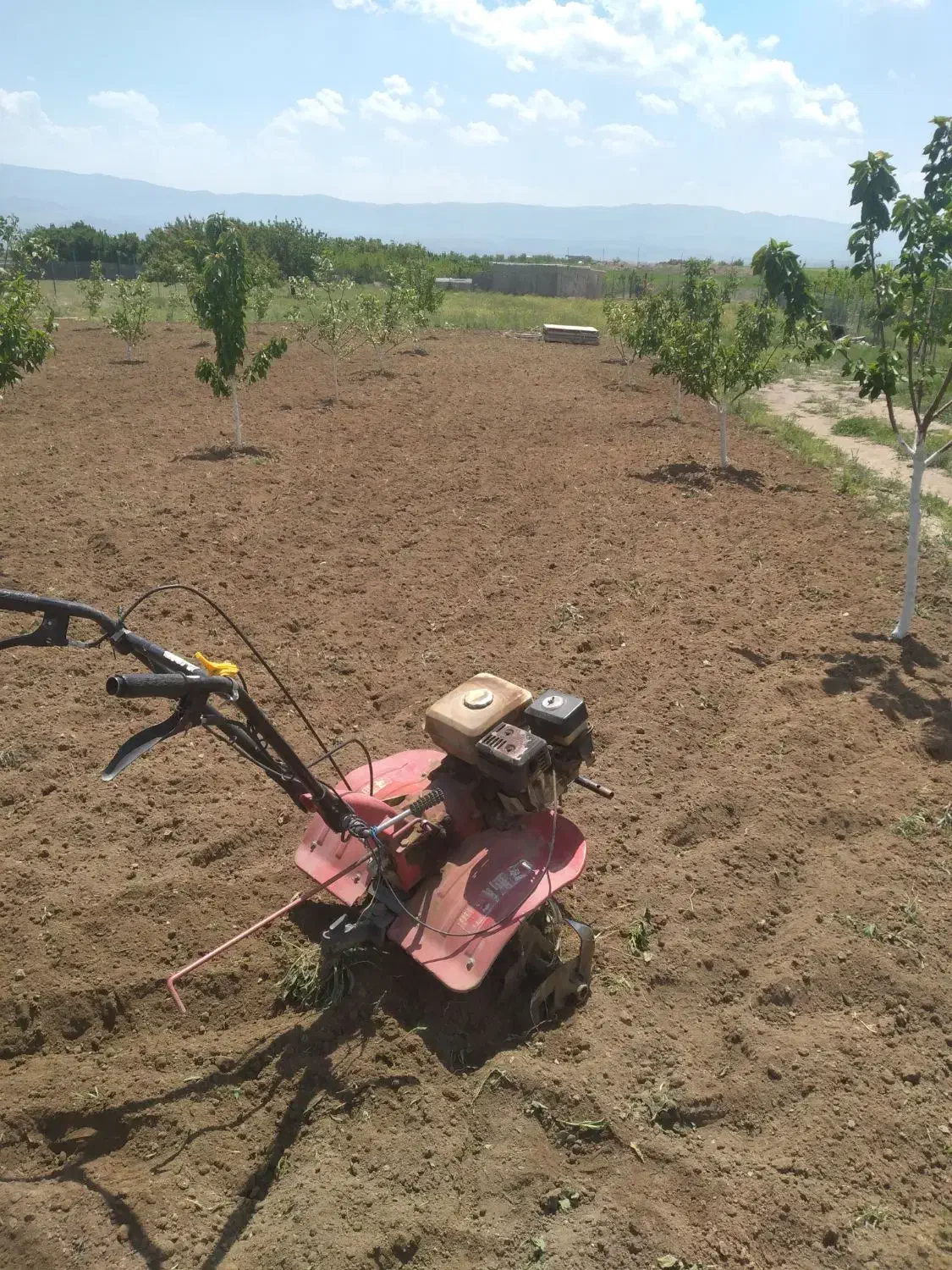 شخم زنی|خدمات باغبانی و درختکاری|اهر, |دیوار