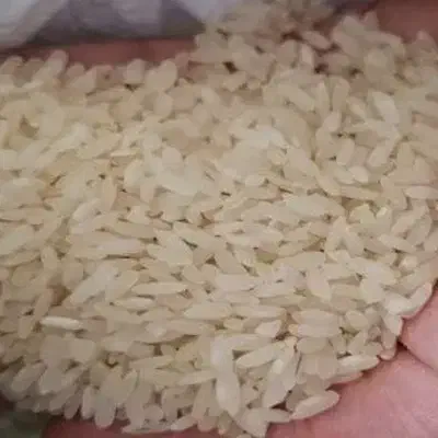 خرده برنج مخصوص اش سبزی ،برنج اصل به شرط پخت نیم|خوردنی و آشامیدنی|شیراز, گویم|دیوار