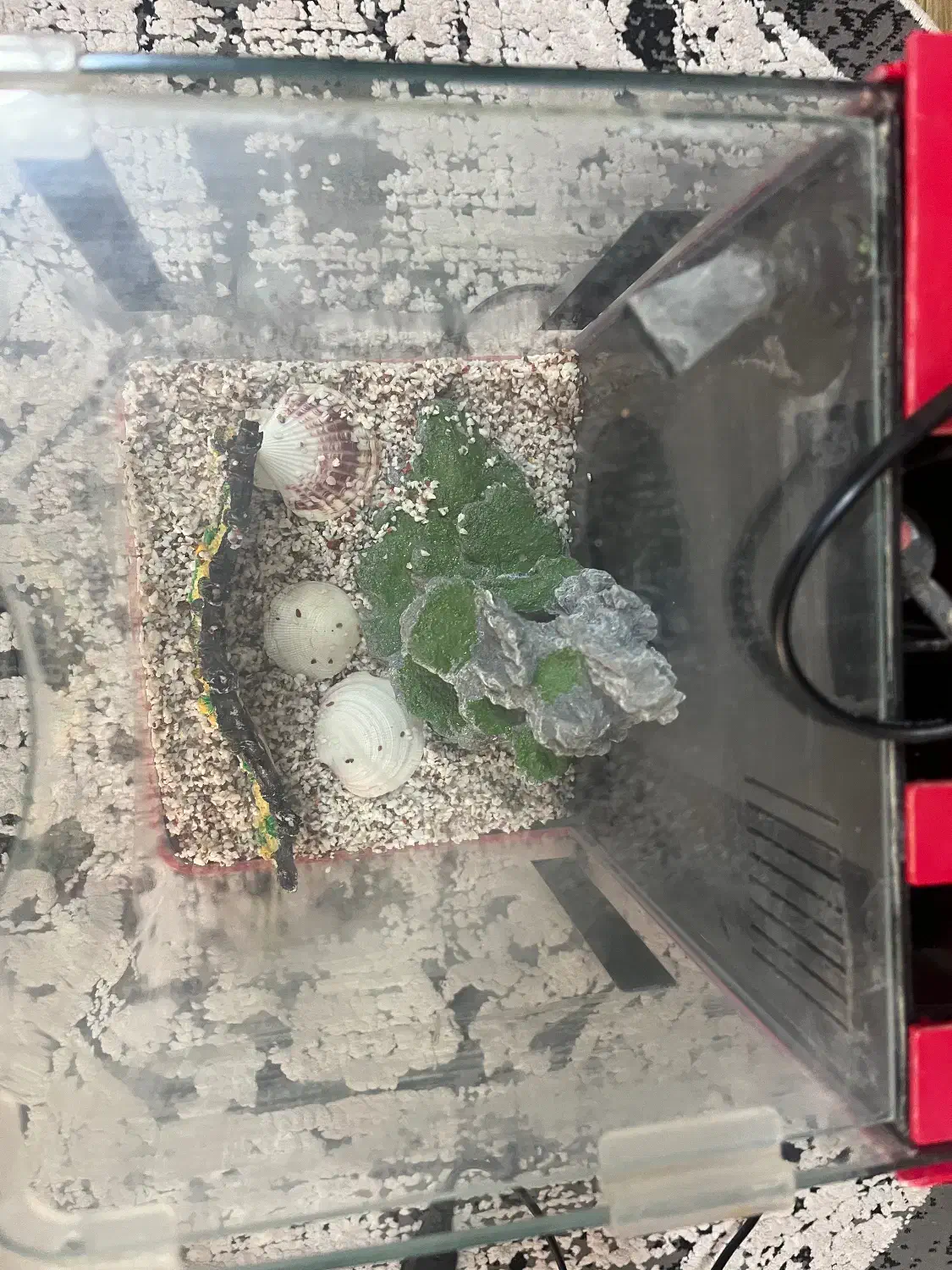 اکواریومکامل و شیک|ماهی|ایلام, |دیوار