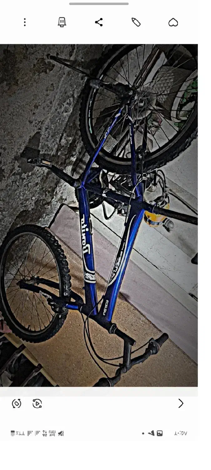 دوچرخه 24بونیتو|دوچرخه، اسکیت، اسکوتر|گنبد کاووس, |دیوار