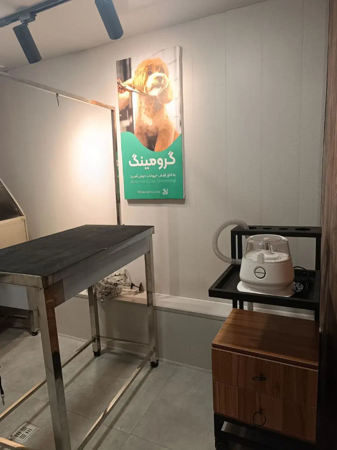 آموزش آرایش و پیرایش سگ و گربه|خدمات آموزشی|رشت, گلزاران|دیوار