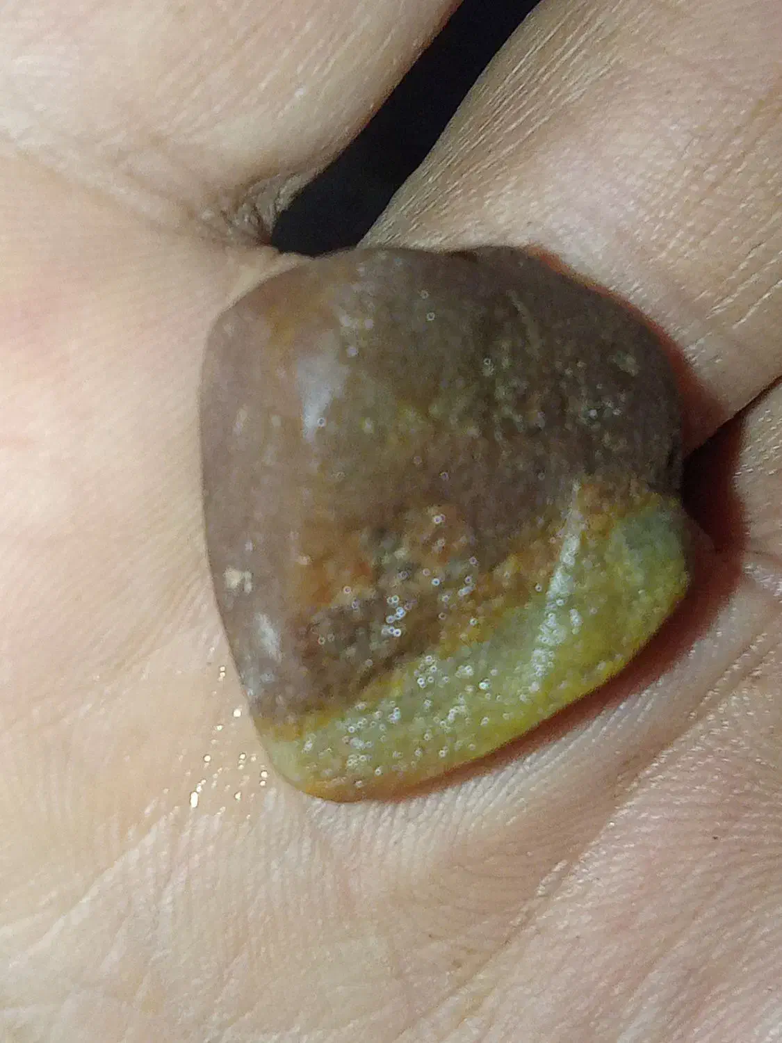 سنگ قیمتی راف|جواهرات|گنبد کاووس, |دیوار