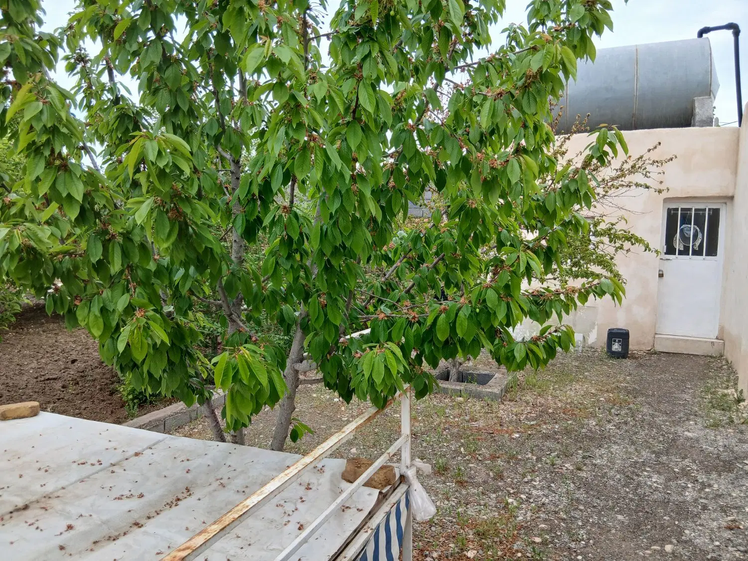 تصویر 6