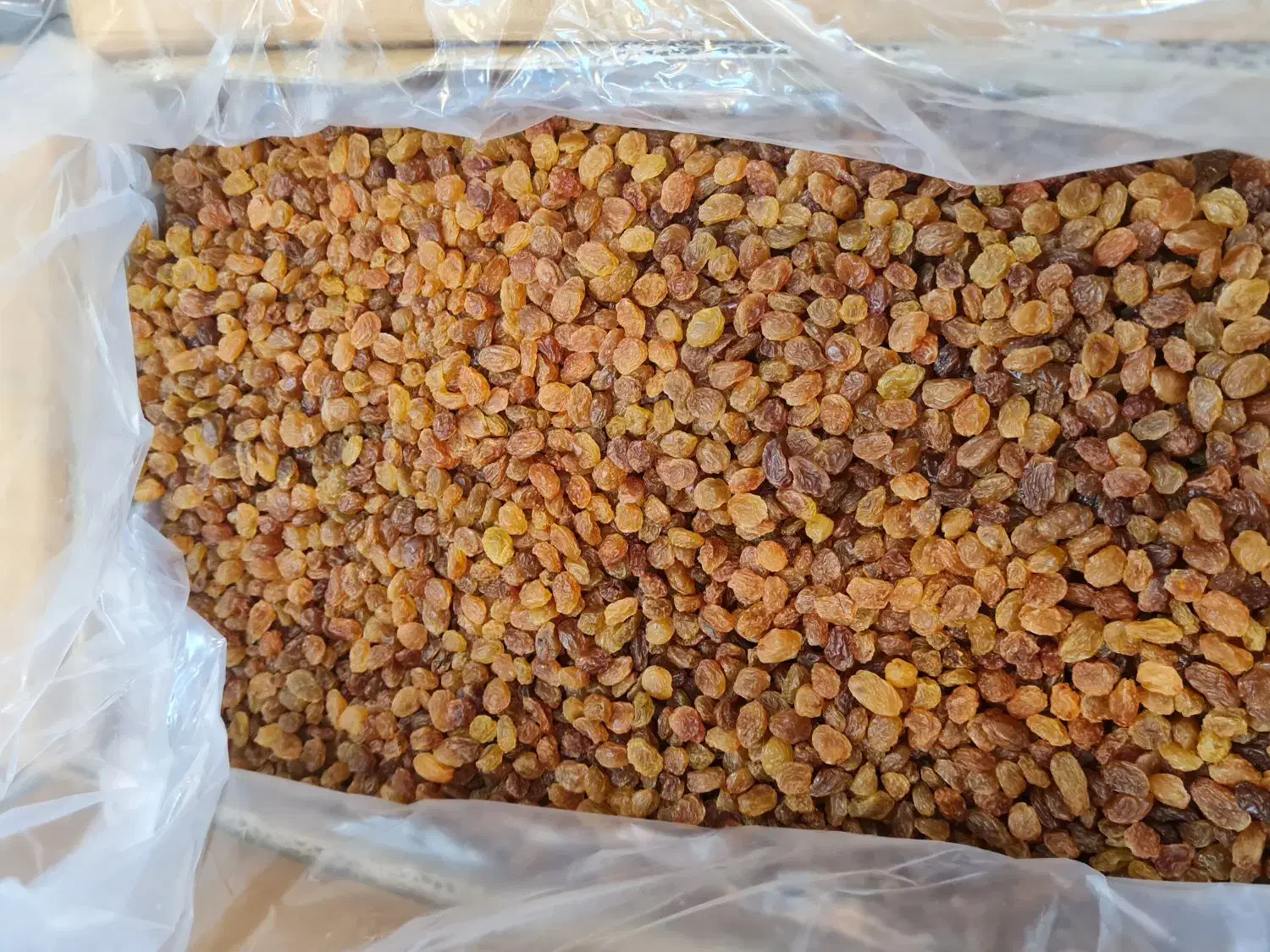 فروش مستقیم گردو بادام مغز تویسرکان|خوردنی و آشامیدنی|اسلام‌شهر, شهرک قائمیه|دیوار