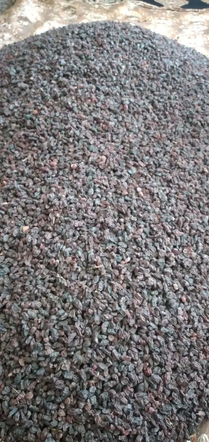 کشمش افتابی|خوردنی و آشامیدنی|ایوان, |دیوار