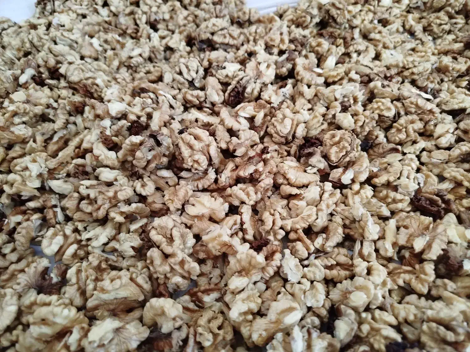 گردو کوهستان|خوردنی و آشامیدنی|بردسیر, |دیوار