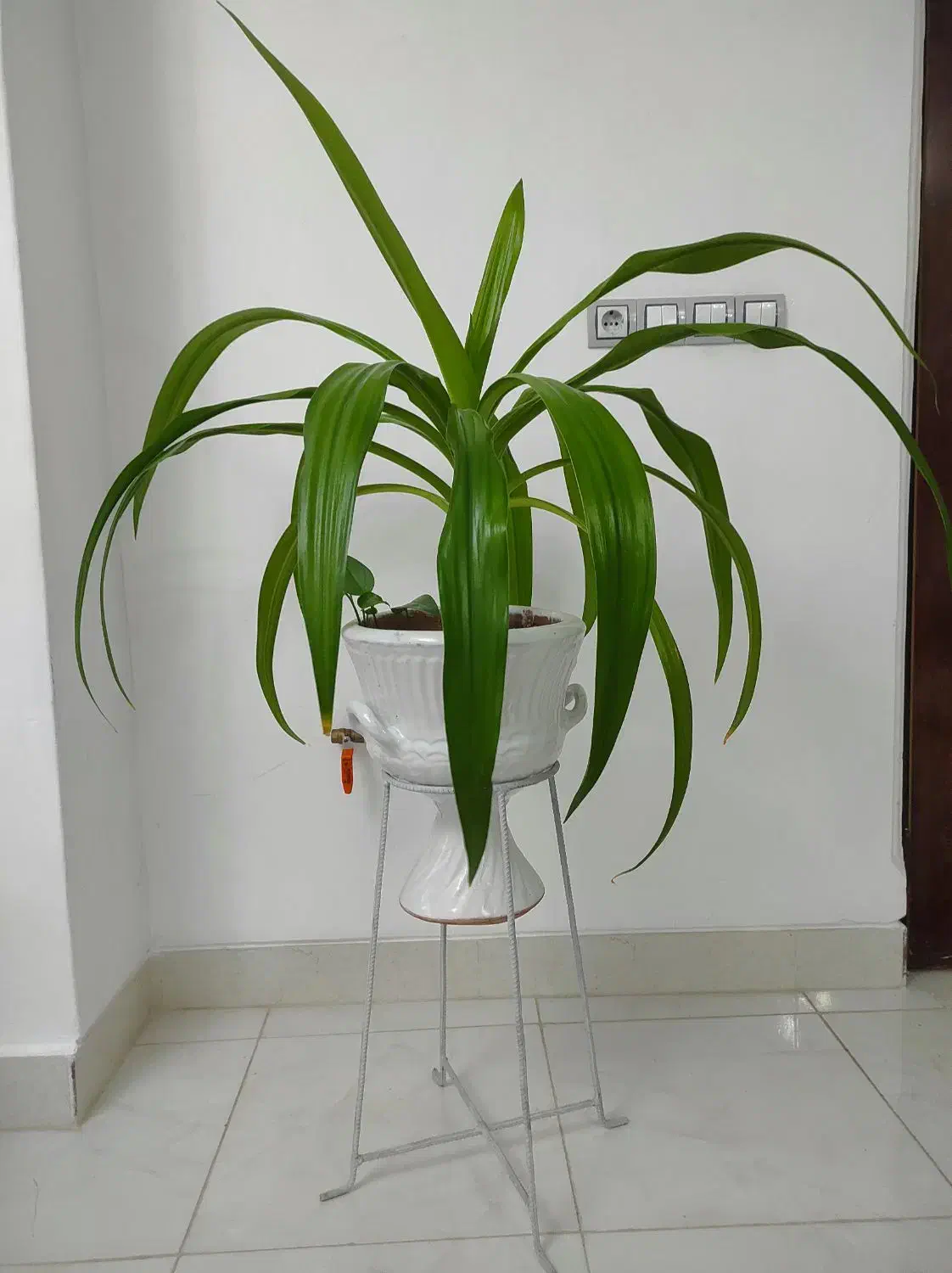 ساخت تخت خواب ،استند گل|تخت و سرویس خواب|مرودشت, ژیان|دیوار