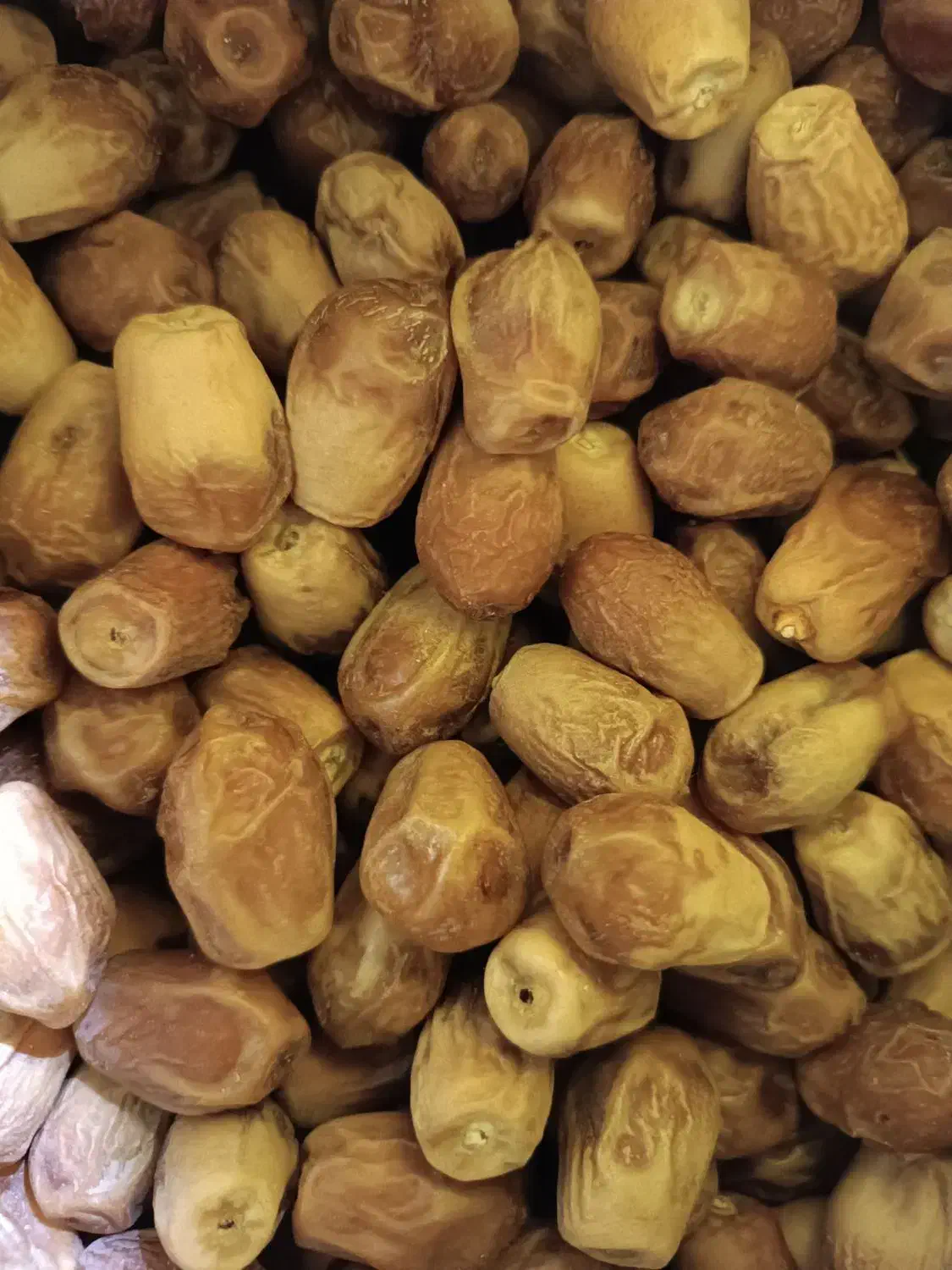 قصب درجه یک|خوردنی و آشامیدنی|شیراز, شهرک مهدیه|دیوار