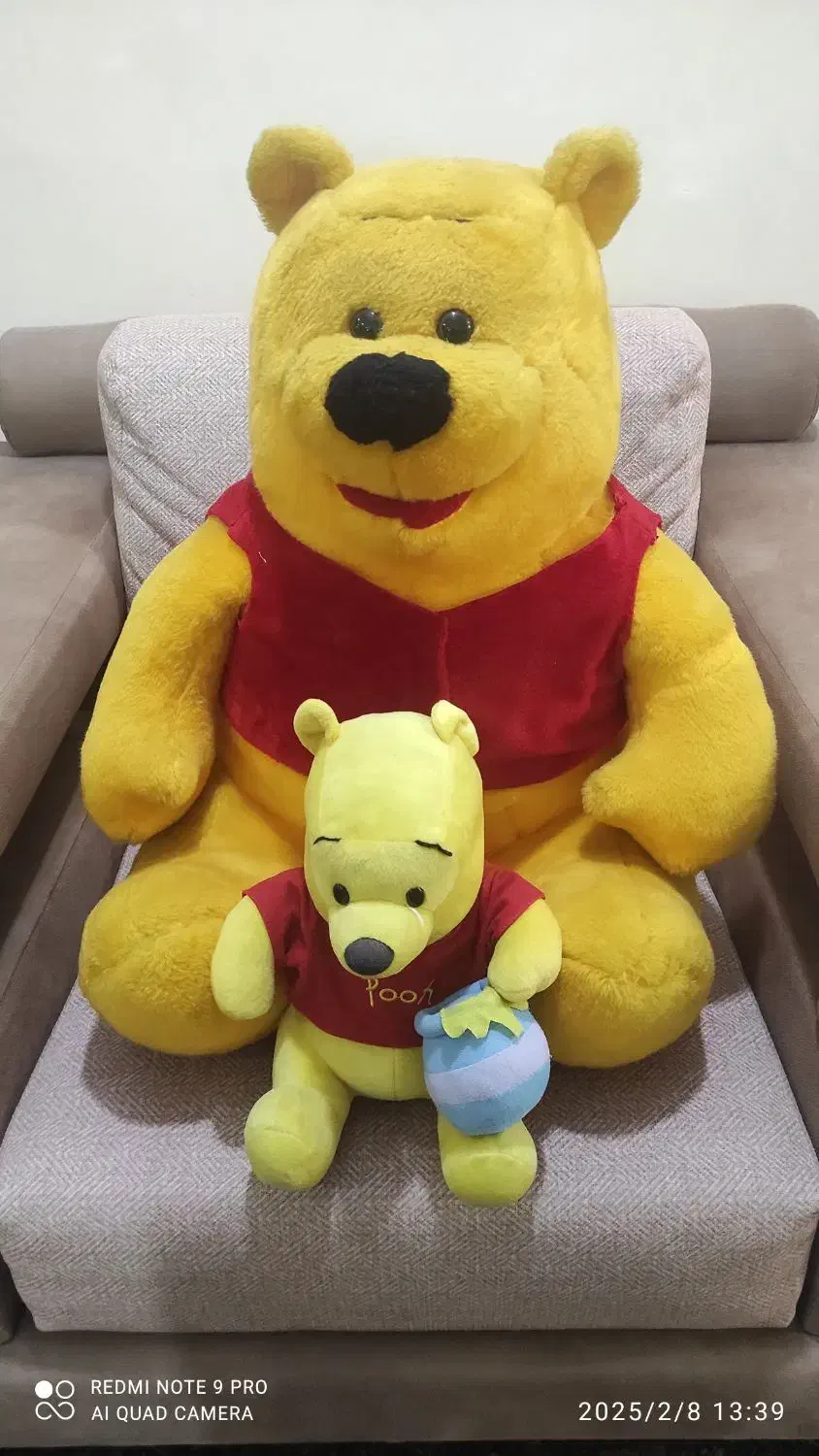 خرس پو|اسباببازی بچه|دوگنبدان, |دیوار