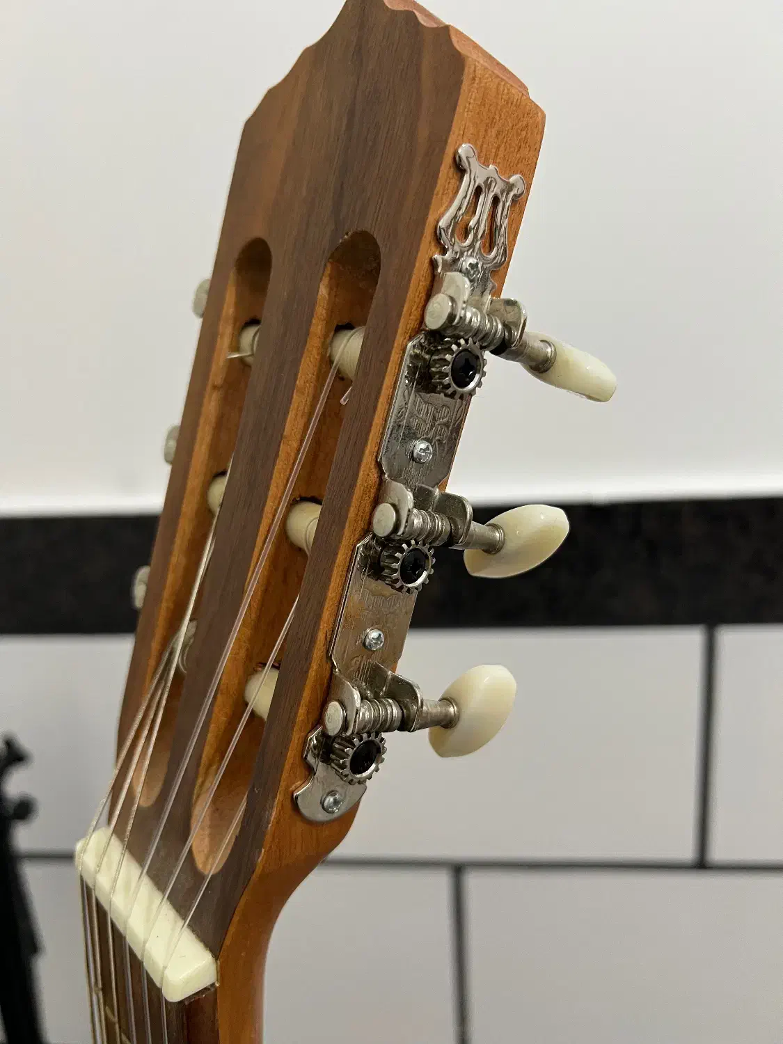 گیتار پارسی m5|گیتار، بیس، امپلیفایر|کازرون, |دیوار