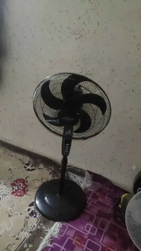 پنکه|پنکه و تصفیه‌کنندهٔ هوا|بندر کنگان, |دیوار