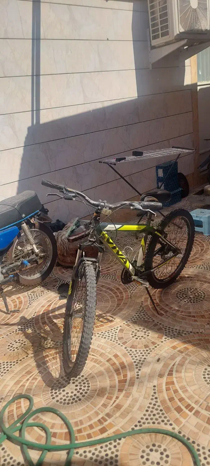 دوچرخه ویوا|دوچرخه، اسکیت، اسکوتر|بندر ماهشهر, |دیوار