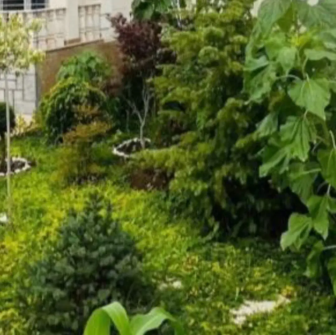 زوج جهت سرایداری یا خانم تنها|استخدام سرایداری و نظافت|شهریار, حصار ساتی|دیوار