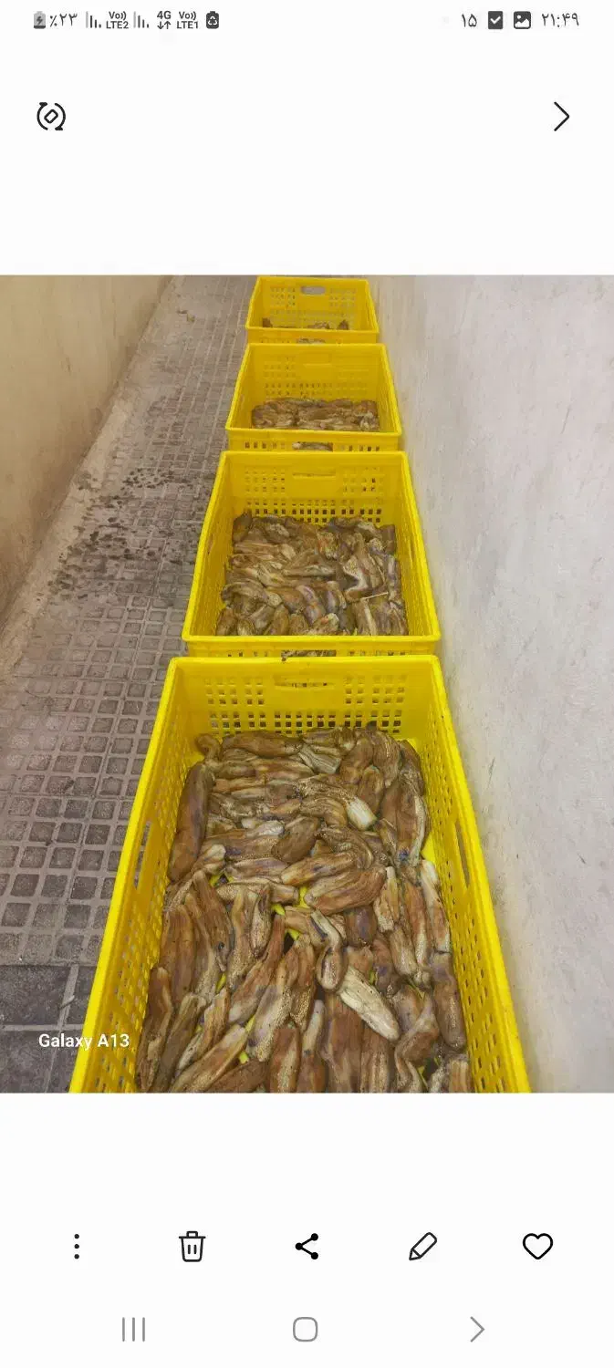 سالن بهداشتی|اجارهٔ مغازه و غرفه|احمدآبادمستوفی, |دیوار