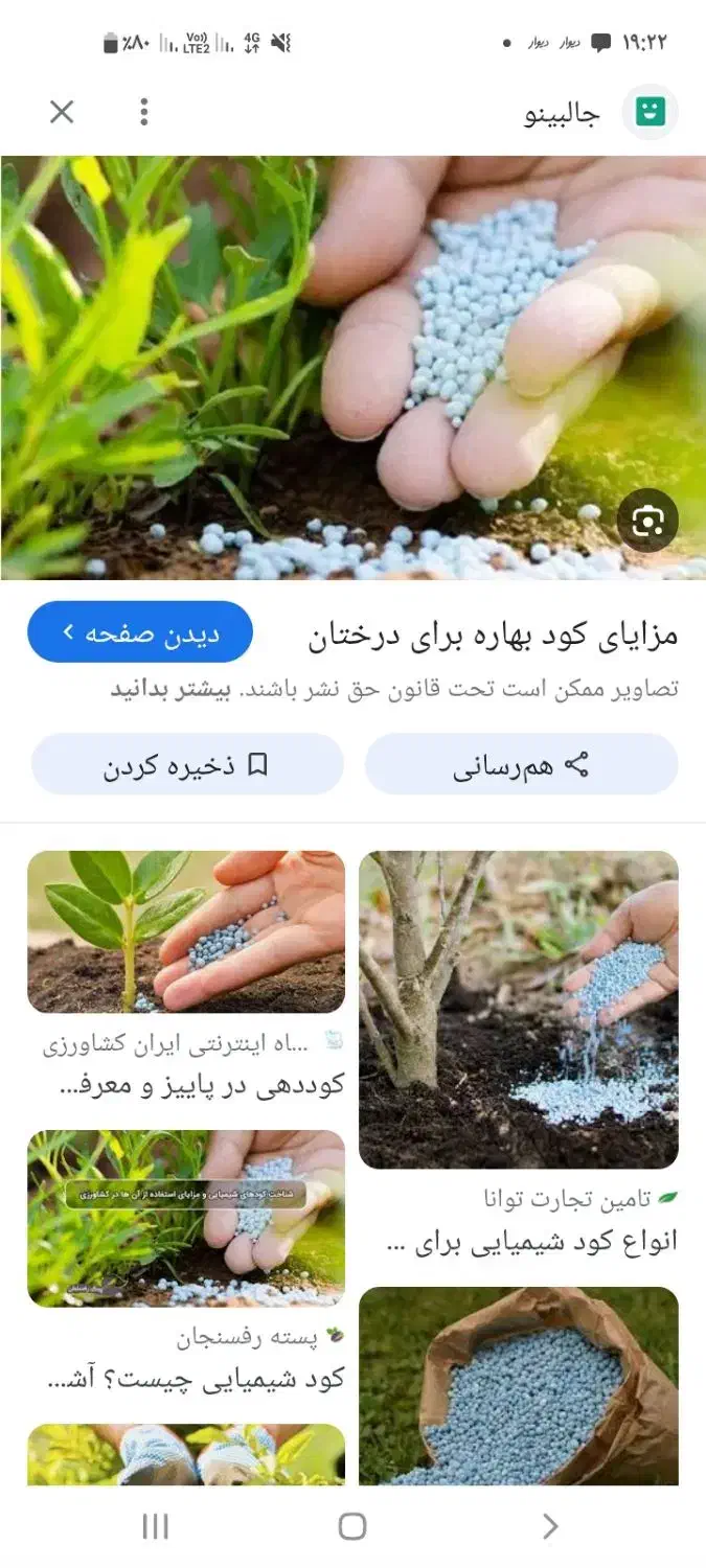 فروش کودبهاره|عمده‌فروشی|دیواندره, |دیوار