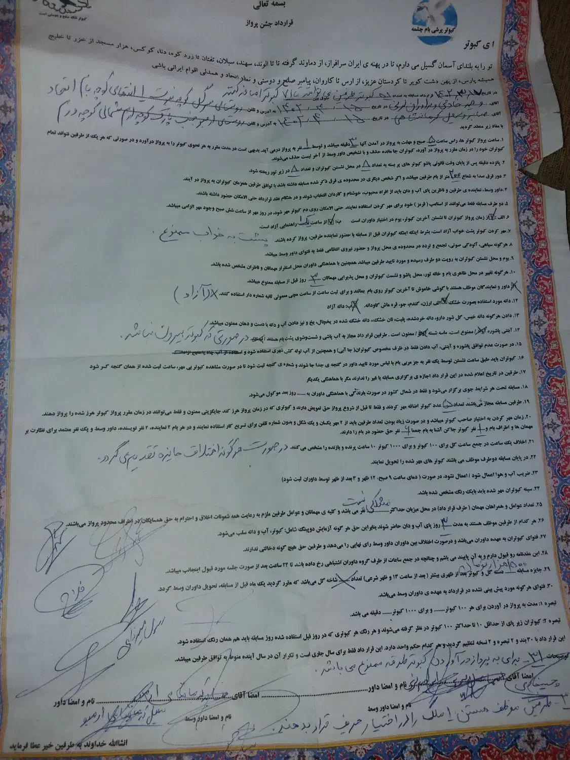 کبوتروجوجه قلم گروبشرط پرش توضیحات کامل خوانده شود|پرنده|پاکدشت, پاکدشت (مامازند)|دیوار