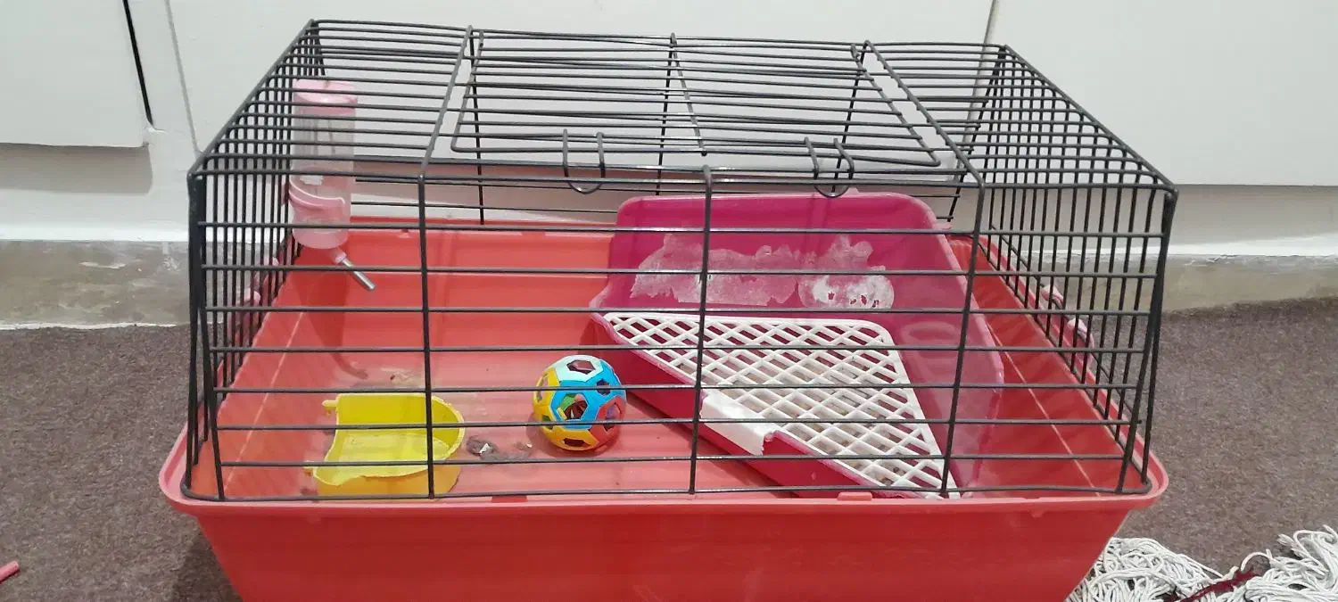 قفس خرگوش وخوکچه|لوازم جانبی حیوانات|تهران, جوادیه|دیوار