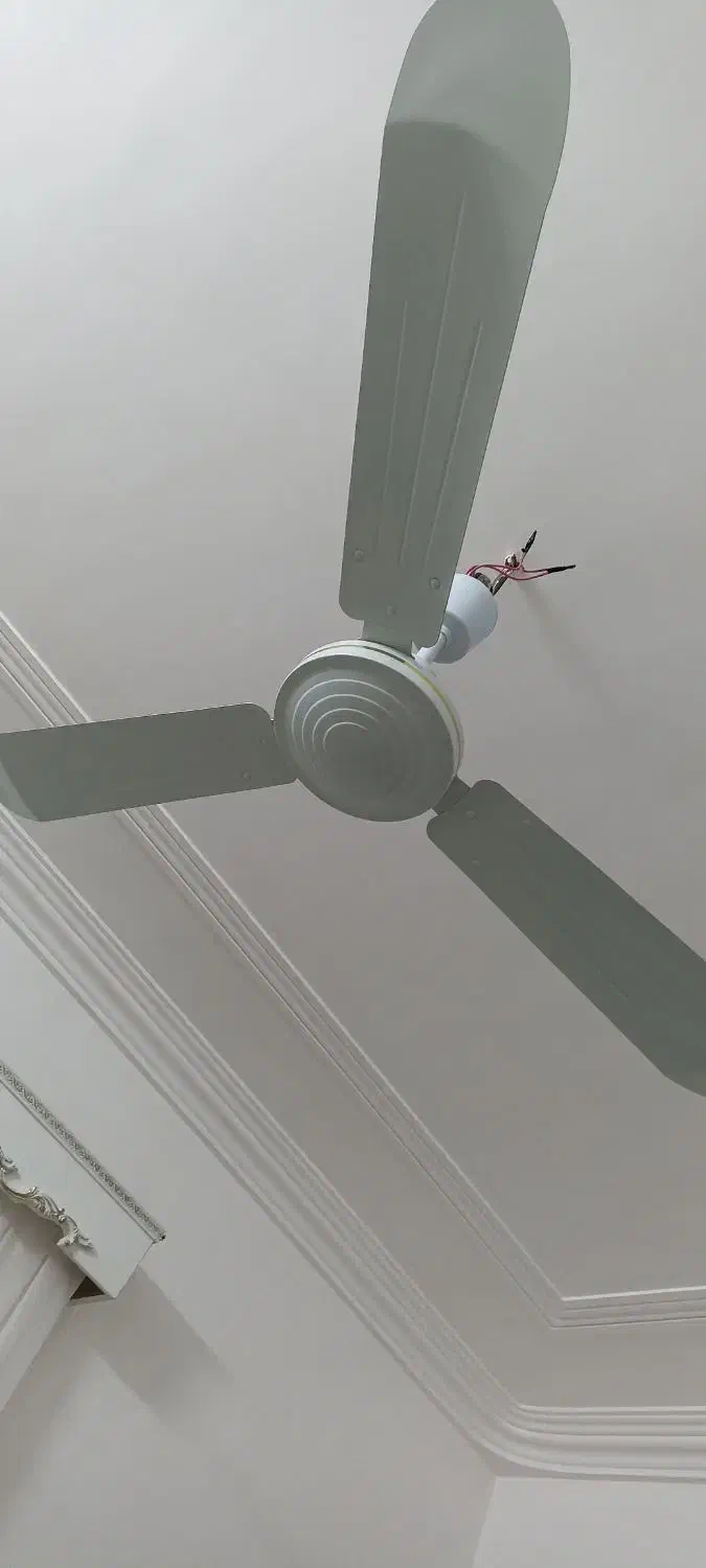 پنکه سایا|پنکه و تصفیه‌کنندهٔ هوا|زابل, |دیوار