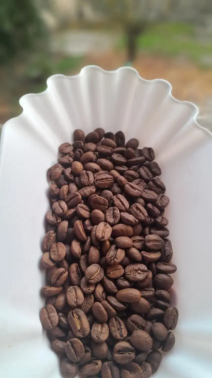 دان قهوه|خوردنی و آشامیدنی|رشت, تازه آباد|دیوار