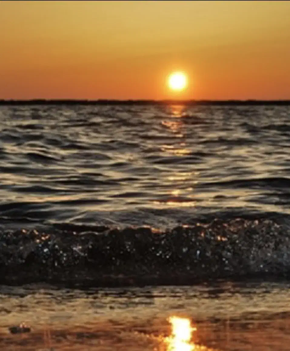 همسفر|فعالیت داوطلبانه|تهران, شادمان|دیوار