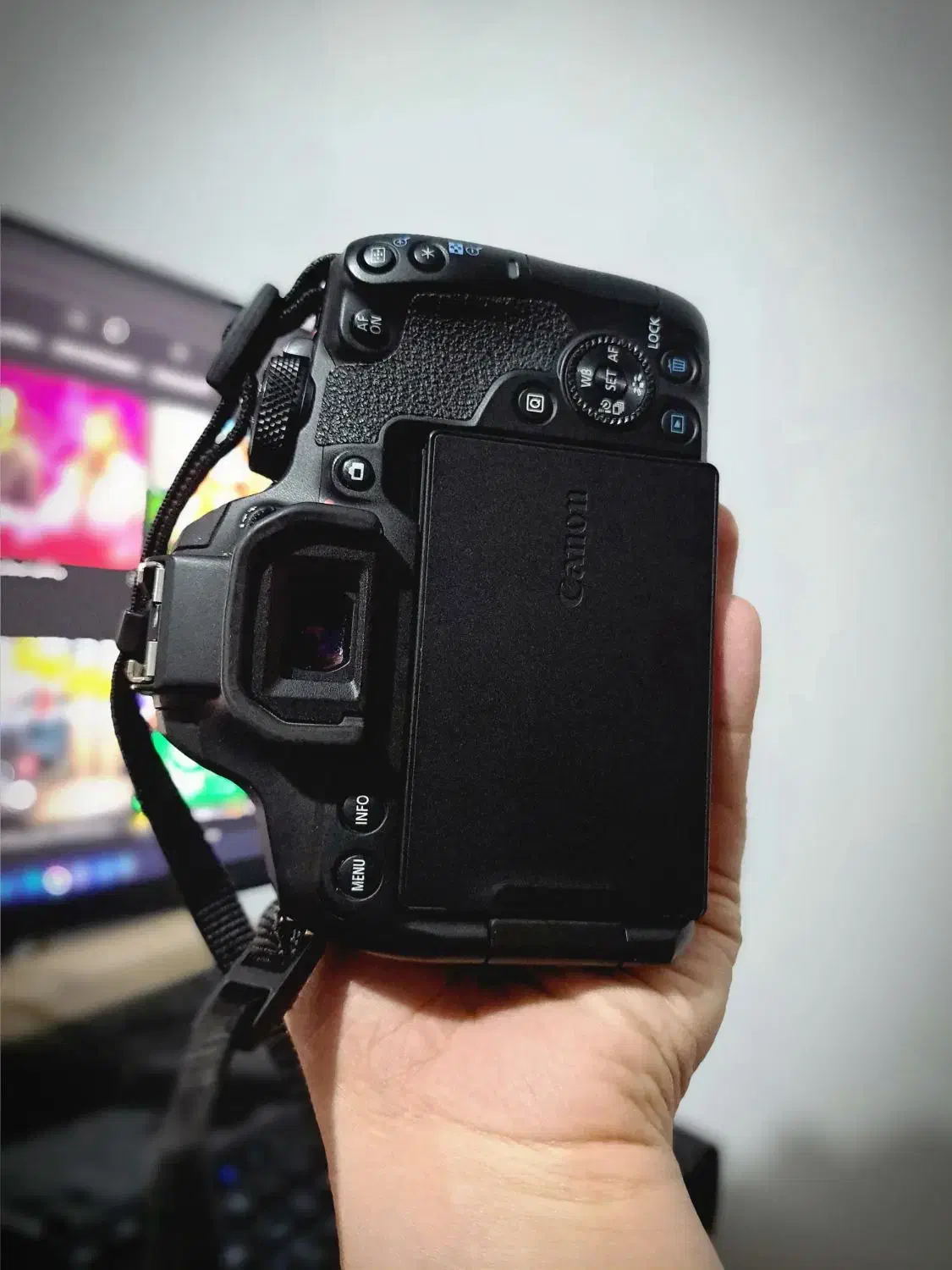 دوربین Canon EOS 850D +لنز Canon EF 50mm f/1.8 STM|دوربین عکاسی و فیلم‌برداری|رشت, منظریه|دیوار