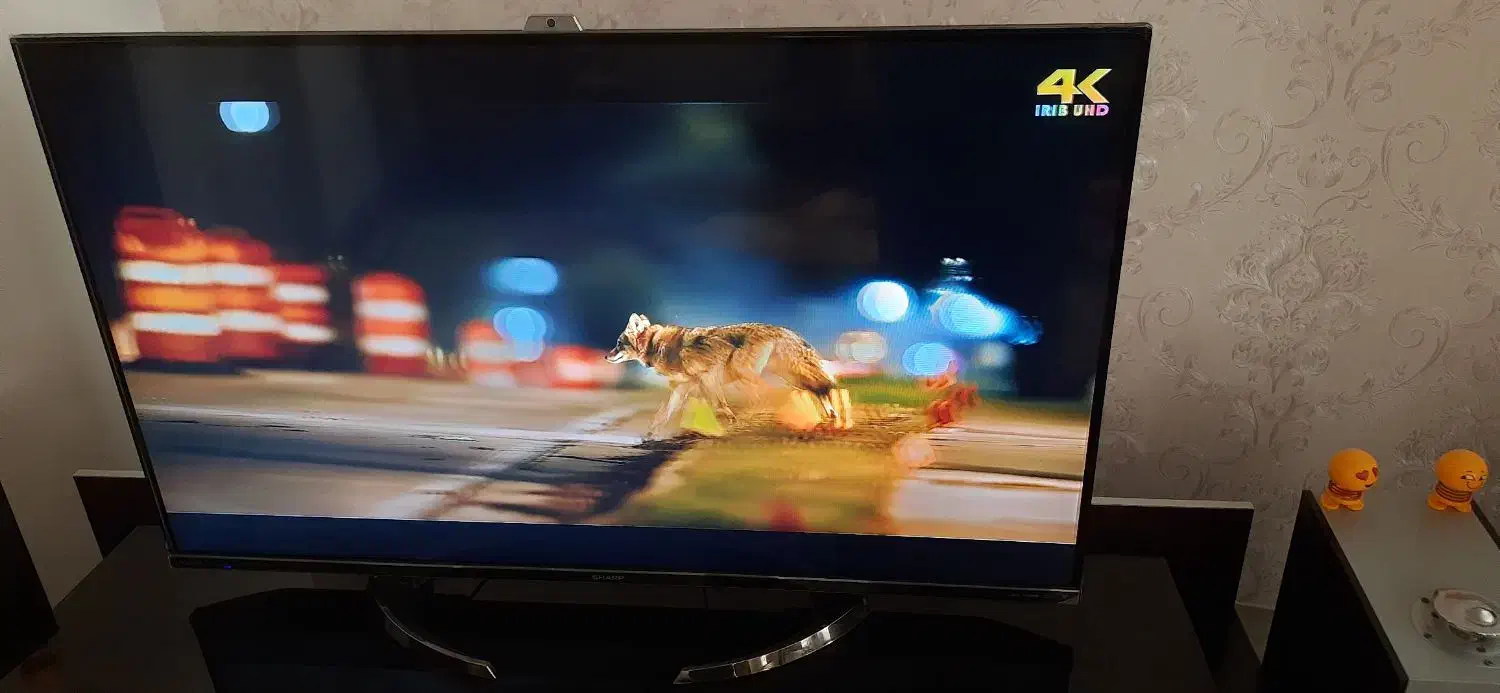 تلویزیون 50 اینچ شارپ|تلویزیون و پروژکتور|ساوه, |دیوار