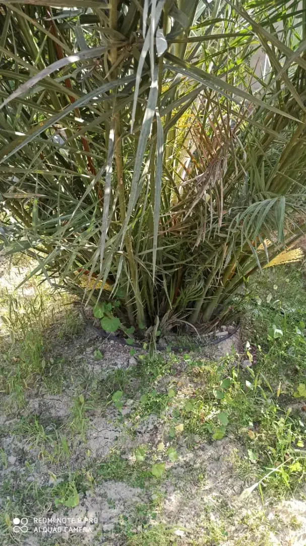 فروش خانه ویلایی ۸۰ متری ۱ خوابه|فروش خانه و ویلا|آبپخش, |دیوار