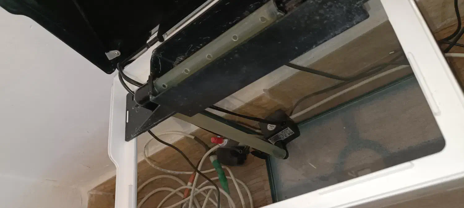 آکواریوم|ماهی|رشت, استادسرا|دیوار