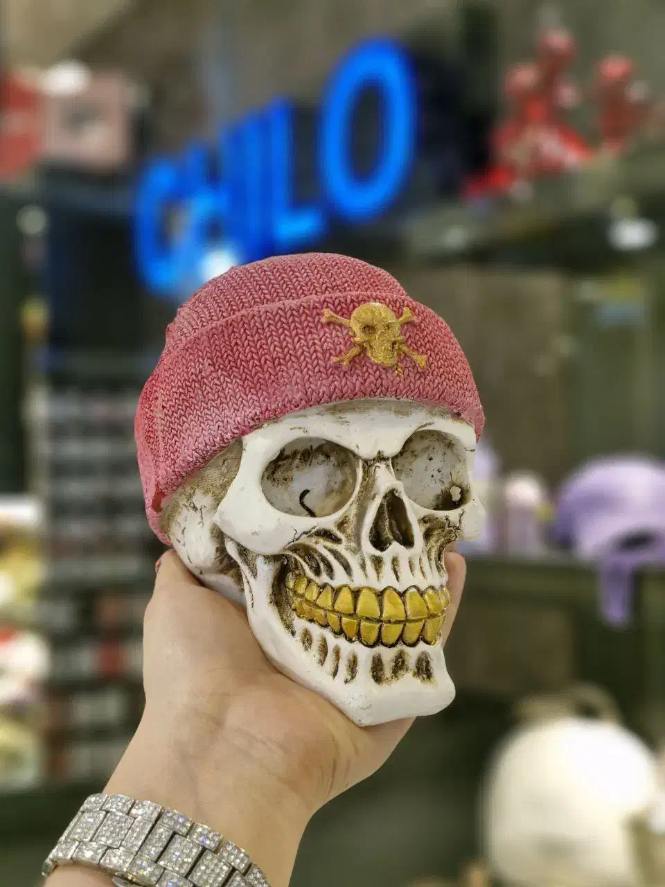 مجسمه پلی استر سر اسکلت|مجسمه، تندیس، ماکت|تهران, هفده شهریور|دیوار