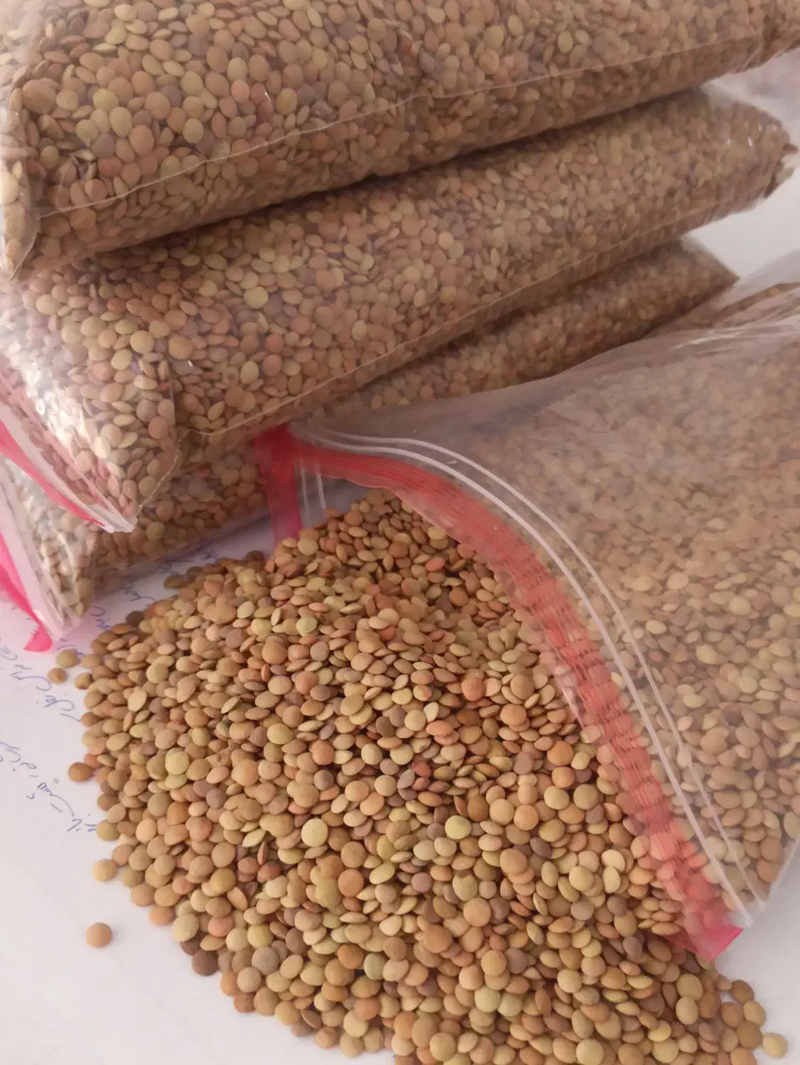 عدس درجه ۱|خوردنی و آشامیدنی|رباطکریم, رباطکریم|دیوار