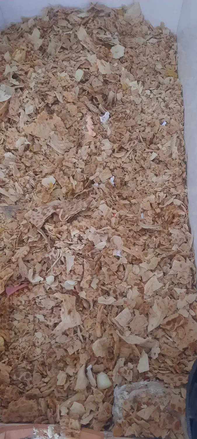 نان خشک|حیوانات مزرعه|فردوس (خراسان), |دیوار